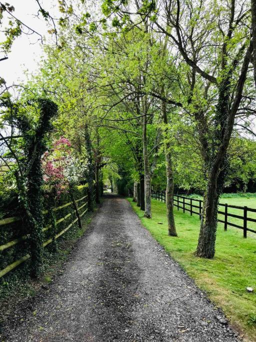 Northdown Lodge - Stunning Property On The Kent Northdowns Hollingbourne エクステリア 写真